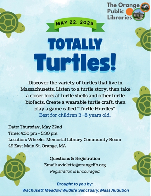 Totally Turtles!